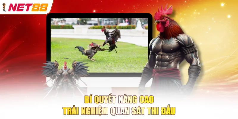 Bí quyết nâng cao trải nghiệm quan sát thi đấu