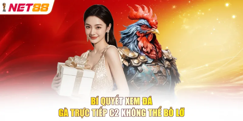 Bí quyết xem đá gà trực tiếp c2 không thể bỏ lỡ