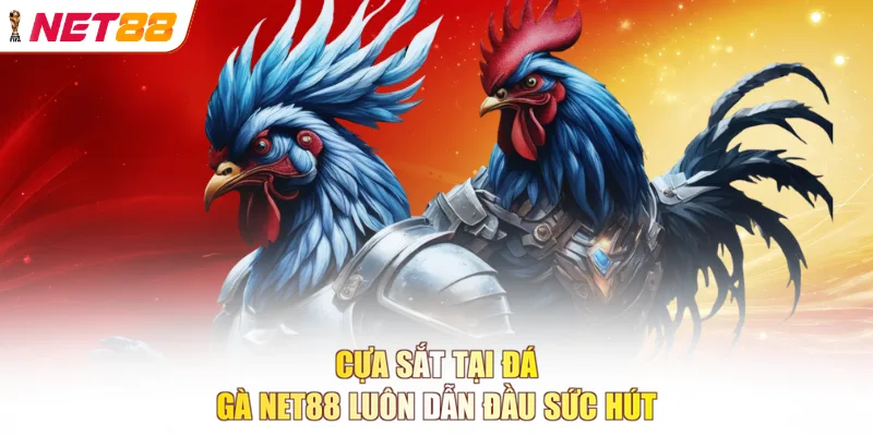Cựa sắt tại đá gà NET88 luôn dẫn đầu sức hút
