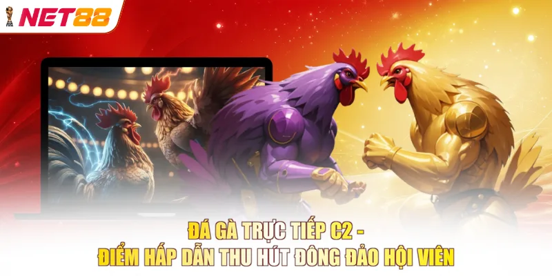 Đá gà trực tiếp C2