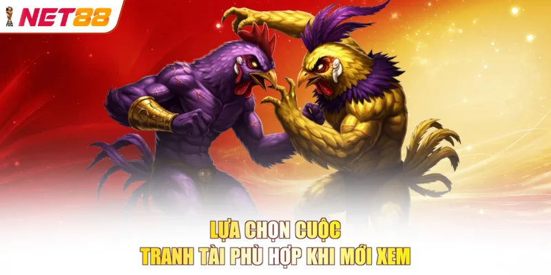 Lựa chọn cuộc tranh tài phù hợp khi mới xem
