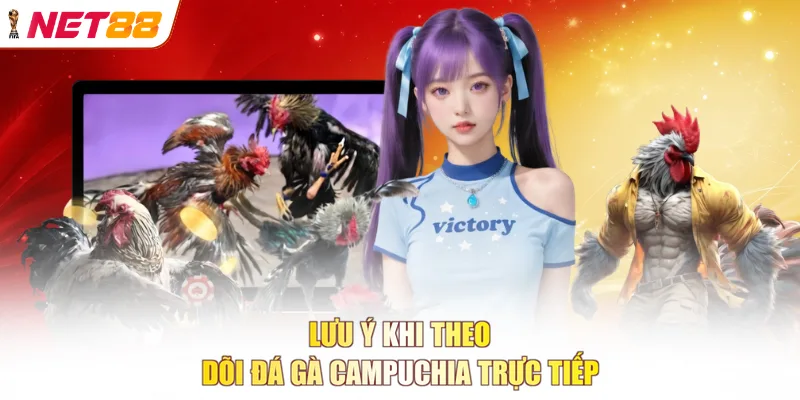 Lưu ý khi theo dõi đá gà Campuchia trực tiếp