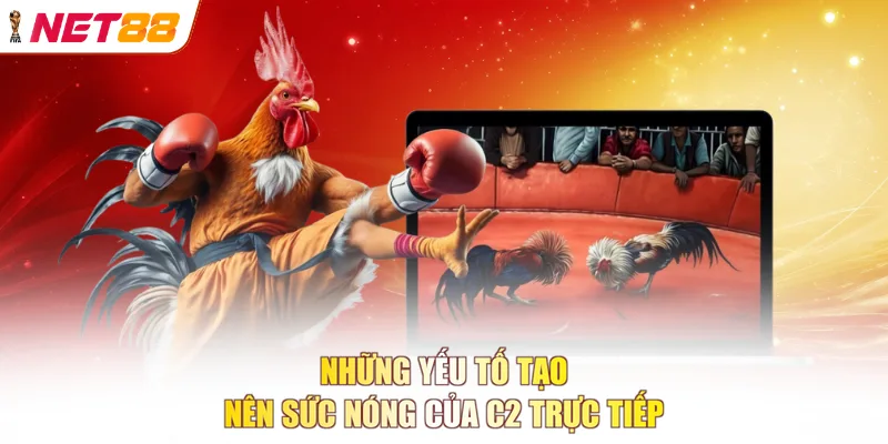 Những yếu tố tạo nên sức nóng của c2 trực tiếp