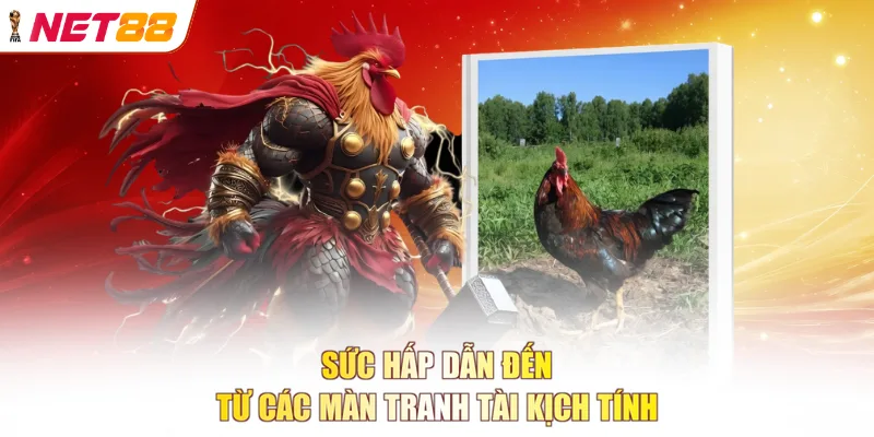 Sức hấp dẫn đến từ các màn tranh tài kịch tính