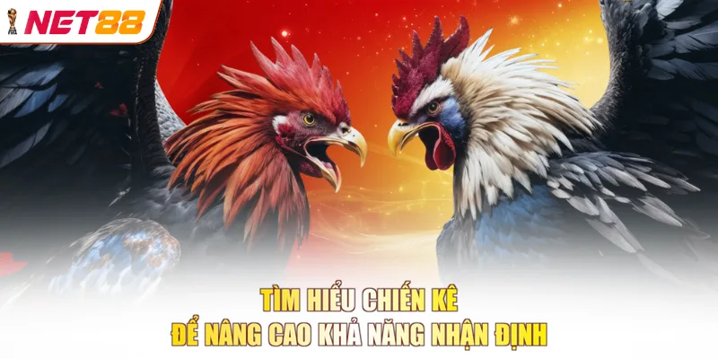Tìm hiểu chiến kê để nâng cao khả năng nhận định