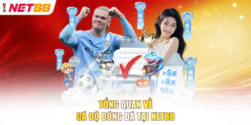 Tổng quan về cá độ bóng đá tại NET88