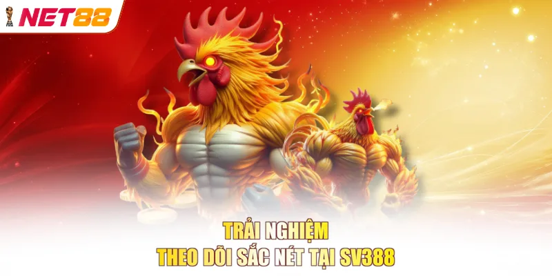 Trải nghiệm theo dõi sắc nét tại SV388